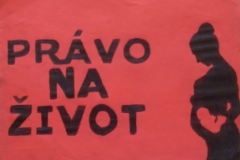 IMAG2480